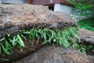 Kräuter Rollmatte - Verlegt Ende April