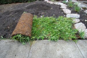 Kräuter Rollmatte - Verlegt Ende April