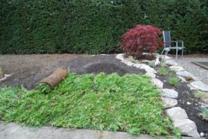 Kräuter Rollmatte - Verlegt Ende April